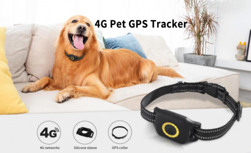 FA29 4G pet gps tracker